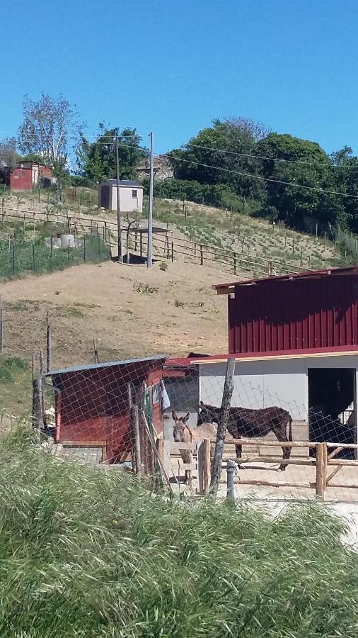Alla Contrada Degli Asinelli Colle d'Anchise Zewnętrze zdjęcie